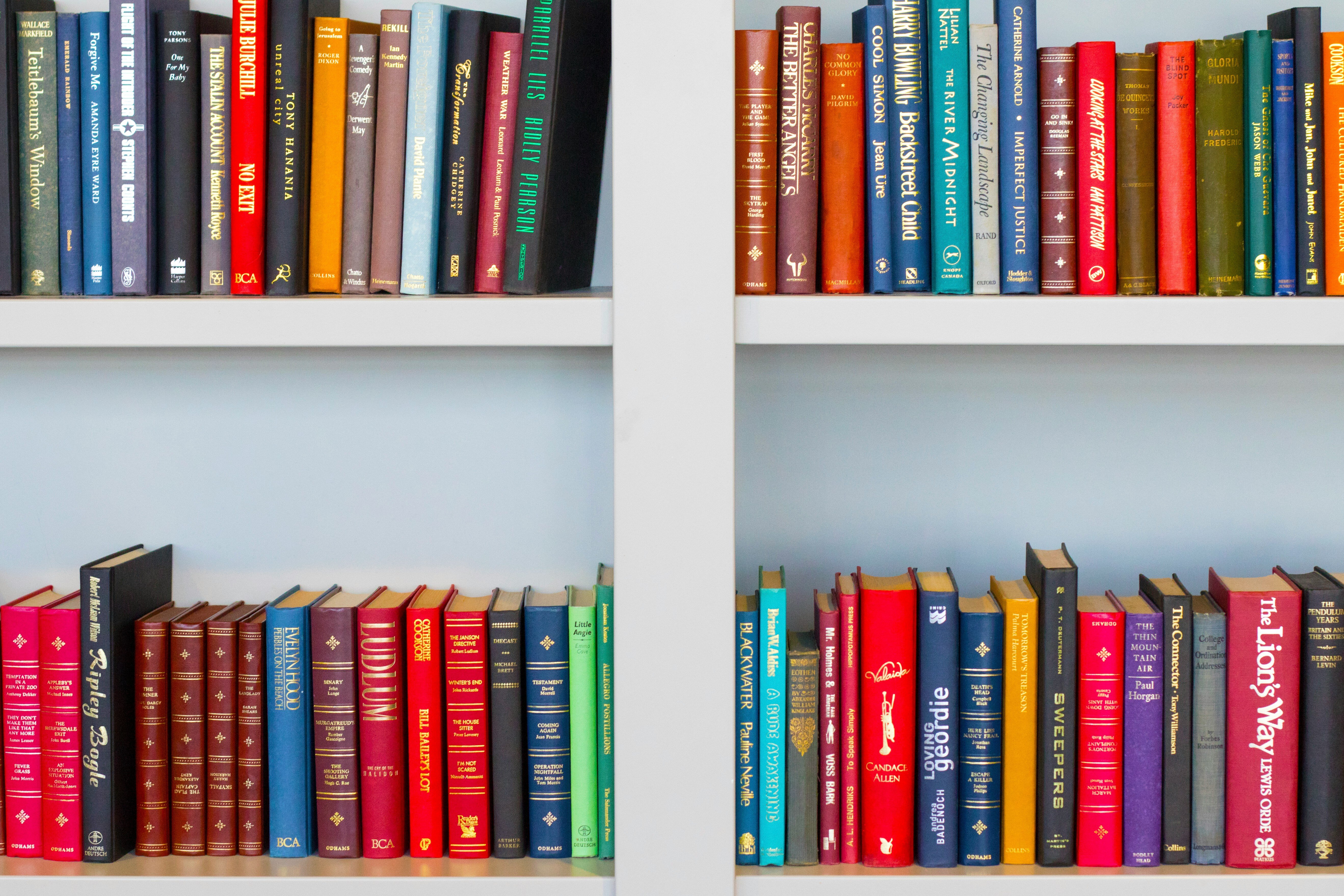 shelf full of books