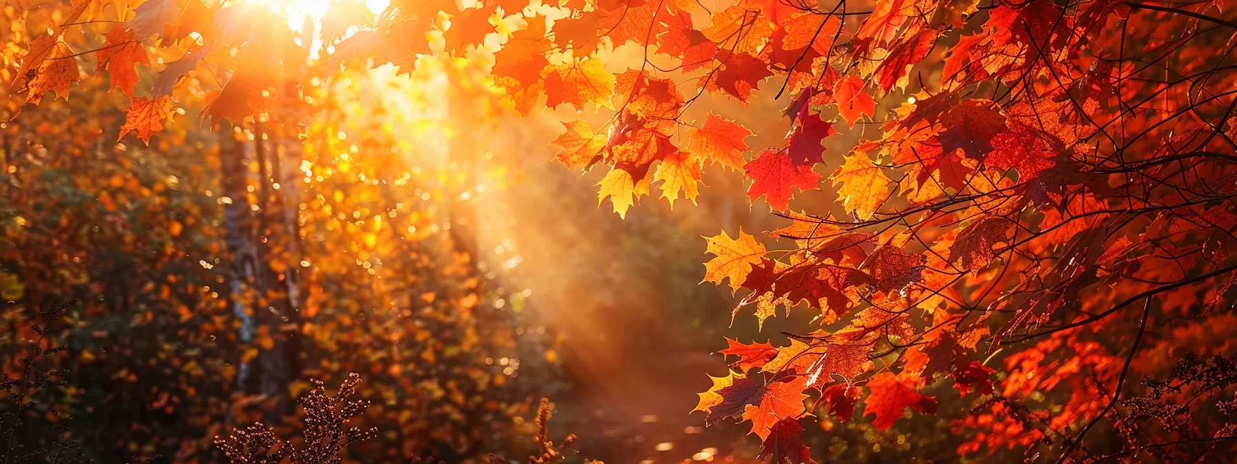 a vibrant autumn landscape unfolds with fiery red and golden leaves cascading from trees, illuminated by soft, warm sunlight filtering through dense foliage.