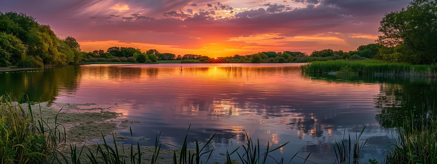 a vibrant sunset casts a warm golden glow over a serene lake, reflecting the colorful hues of the sky and surrounding lush greenery.