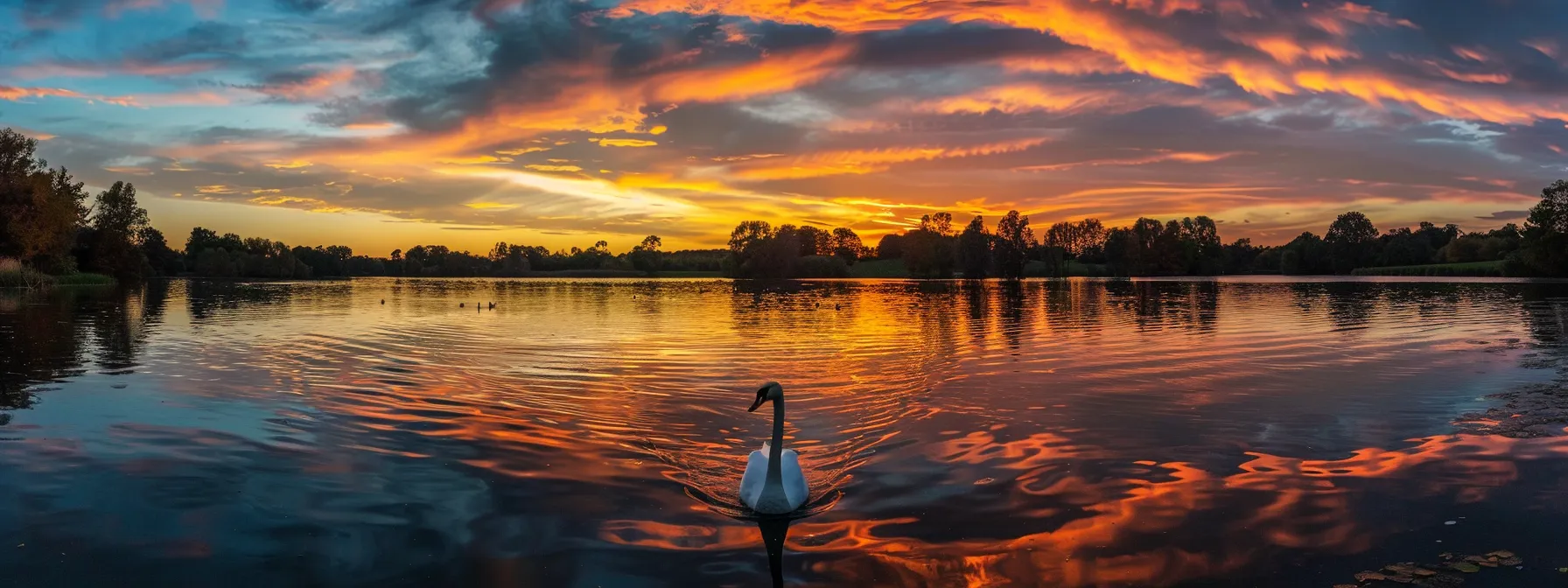 a vibrant sunset casts golden hues across a tranquil lake, where a solitary, majestic swan glides gracefully through the mirror-like water, reflecting the colorful sky like a living painting.