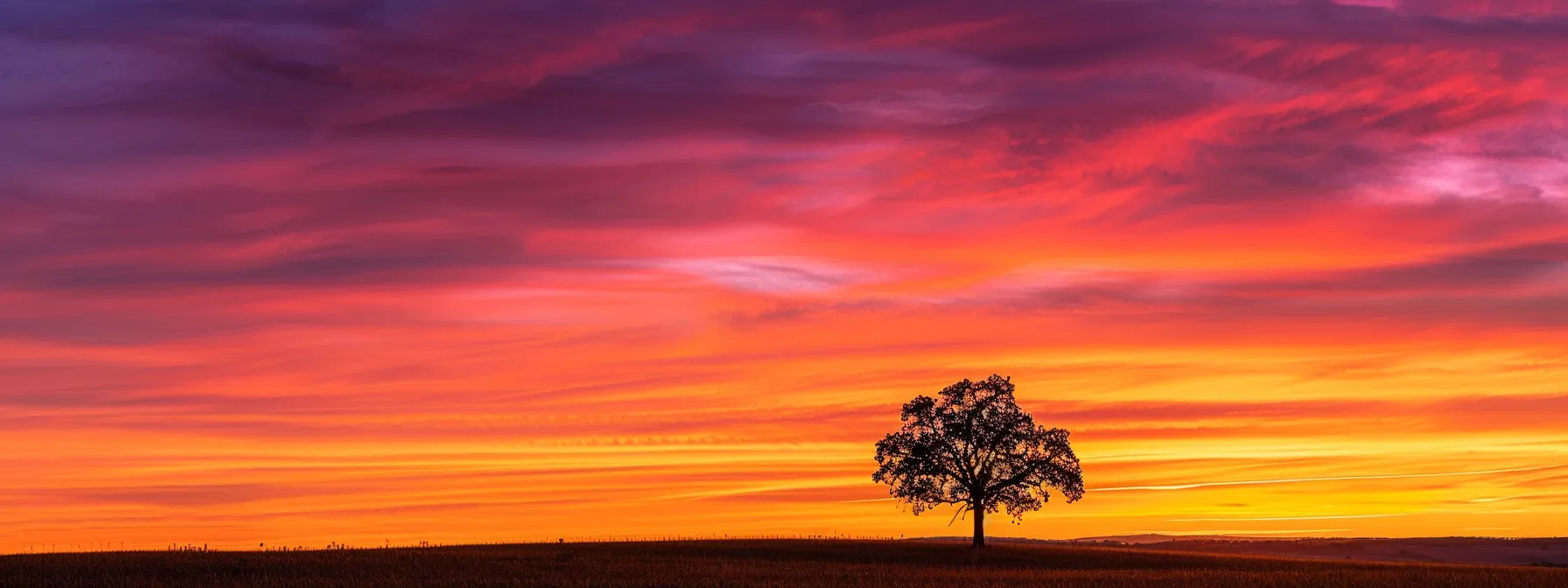 a vibrant sunset paints the sky in hues of orange and purple as a solitary tree stands tall against the horizon, symbolizing resilience and tranquility in nature.